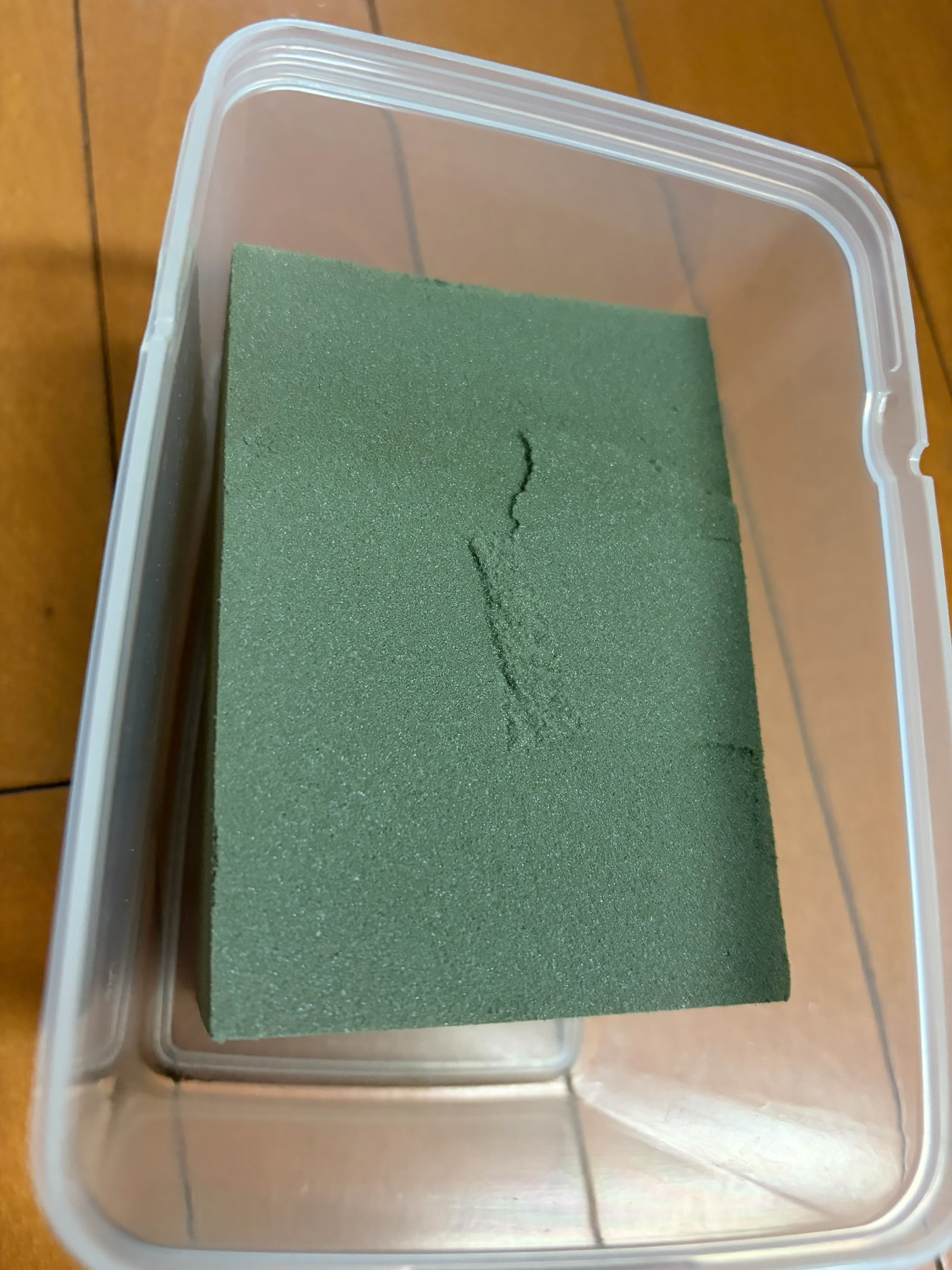 6月20日】なかみちのクワ日記 in千歳㉔ | お知らせ | タイヤセレクト